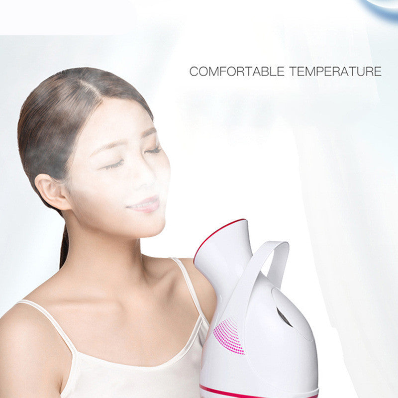 Large Face Steamer CJ